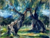 Ulivi del Salento - olio su tela 50x60 - 1998