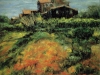 Campagna - olio su tela 50x60 - 2001