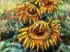 Tre girasoli - olio su tela - 50x40