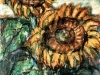Girasoli - t.m. su cartoncino - 35x25